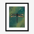 Framed artwork of a dragonfly with 'Anything is possible' text on a teal background